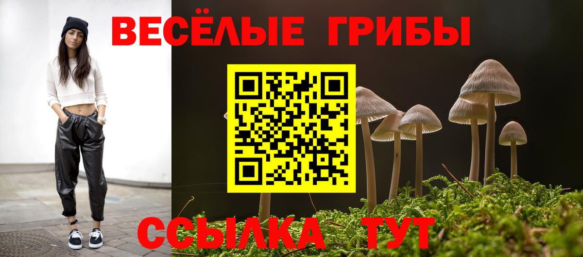 Псилоцибиновые грибы мухоморы  Вход с VPN  Мыски 