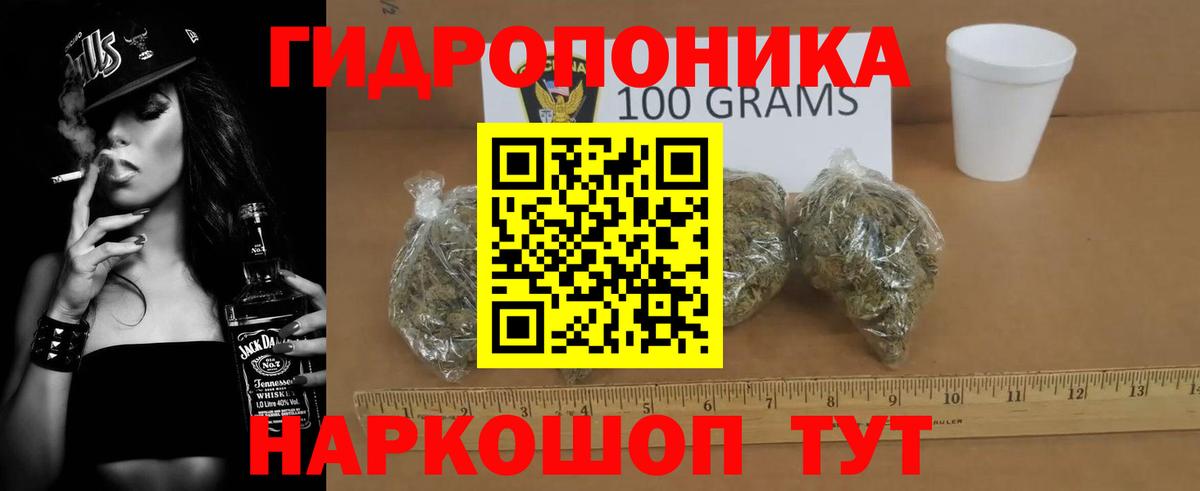 Каннабис план Мыски